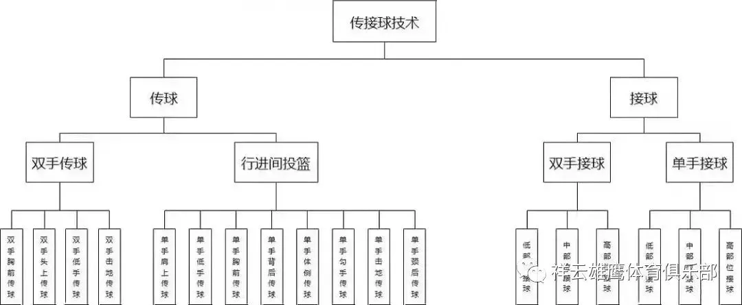 刻苦训练篮球时如何避免受伤的建议_2