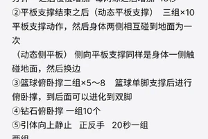 野人篮球训练计划下载破解版